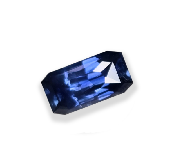 Sap012-0955